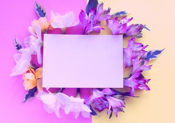 Delicate floral arrangement with spring flowers and writing paper. Pink flowers on a light pink background, frame. Background for a greeting card.