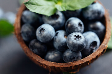 Freshly picked blueberries in coconut bowl on dark background. Healthy organic seasonal fruit background. Berries closeup
