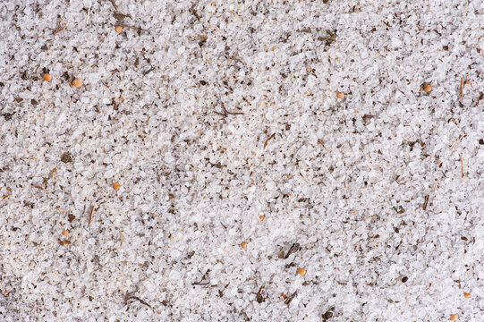 Parrilla salt background with herbs. Copy space.