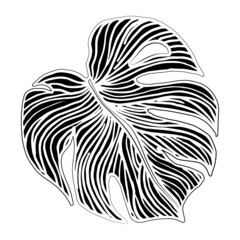 Stylized graphic black monstera leaf