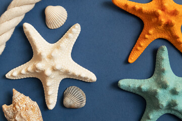 Fototapeta na wymiar Starfish on a blue background, shells, stones on a blue background. The dream of the sea.