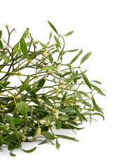 Christmas bouquet of mistletoe.