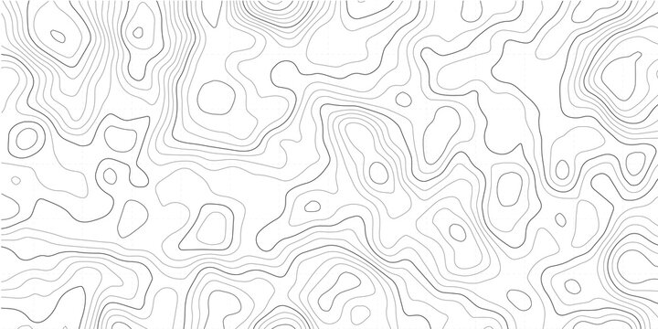 Topographic map background. Geographic grid. Vector Image
