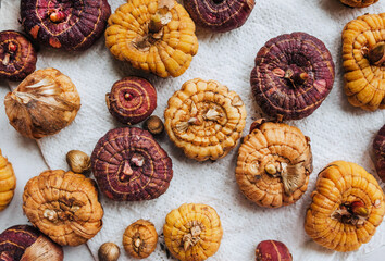 Many, different varieties, dirty red and yellow bulbs, gladiolus flower seedlings lie on a white background. Photography of plants, gardening.