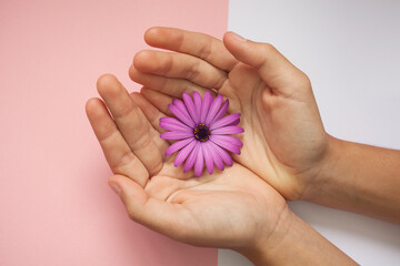 a violet flower on hands