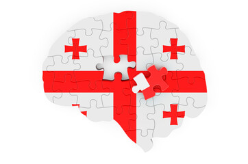 Georgian flag painted on the brain from puzzles. Scientific research and education in Georgia concept, 3D rendering