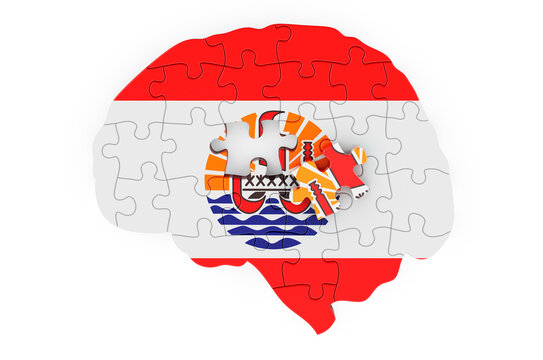 French Polynesian flag painted on the brain from puzzles. Scientific research and education in French Polynesia concept, 3D rendering