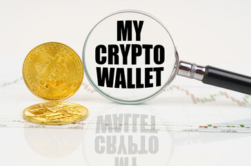 There are bitcoins on the chart and there is a magnifying glass with the inscription - My crypto wallet