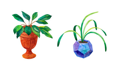 Watercolor home plants in flower pots. Hand drawn watercolor illustration  isolated on a white background. For postcard, print, home or garden decoration. Greenery clipart.