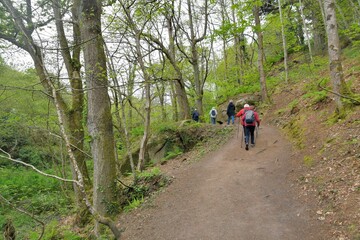 Obraz premium Group of senior hikers walking in the Traouiero valley at Tregastel in Brittany-France