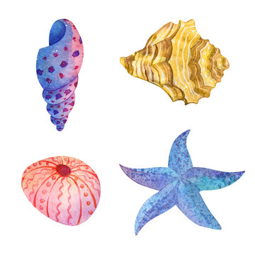 Watercolor set of underwater life with seashells and starfish. Hand drawn illustration for clothes, stickers, baby shower, greeting cards, prints, fabric.
