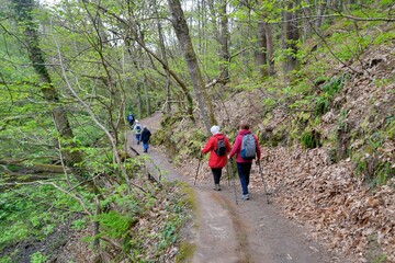 Obraz premium Group of senior hikers walking in the Traouiero valley at Tregastel in Brittany-France