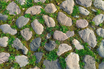 Cobbles close-up with a green grass in the seams. Old stone pavement texture. Cobblestoned pavement . Abstract background.