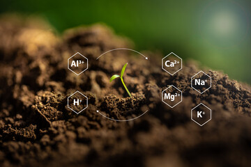 Cations saturation representing soil clay minerals and organic matter attracting positively charged...