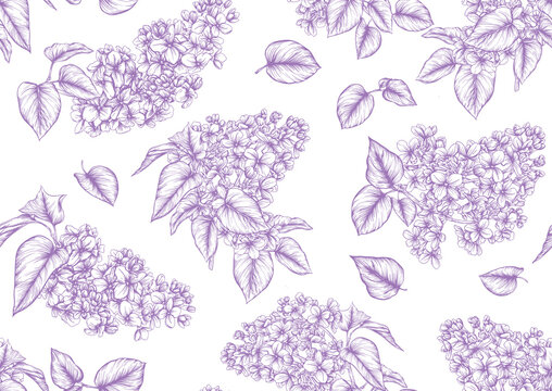 Lilac Drawing Images – Browse 284,490 Stock Photos, Vectors, and Video