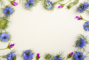 Frame from little blue cumin flowers on a paper background