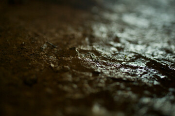 An abstract close-up of a mud print texture background in taken a tunnel in Georgia, USA.