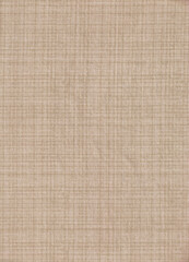 A Close-Up Scan of an Old-Style Cotton Gauze Cross-Hatch Pattern Texture on a Textile Sheet. With Small Realistic Ripples and Wrinkle Imperfections. Possibly a Mixed Material with Rayon.