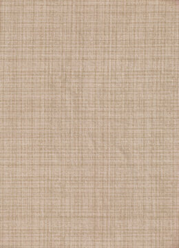 A Close-Up Scan of an Old-Style Cotton Gauze Cross-Hatch Pattern Texture on a Textile Sheet. With Small Realistic Ripples and Wrinkle Imperfections. Possibly a Mixed Material with Rayon.