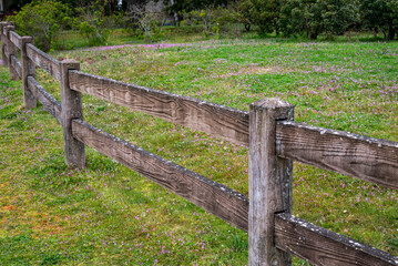 Wooden fence on grass with purple flowers