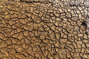 cracked soil texture - dry cracked earth