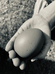 hands holding stones