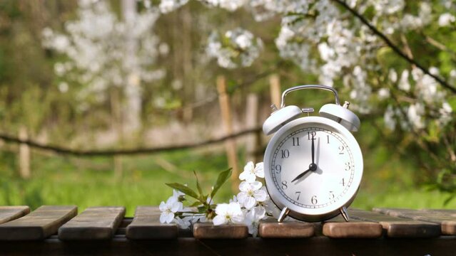 Alam clock on a wooden table in blooming trees garden in spring