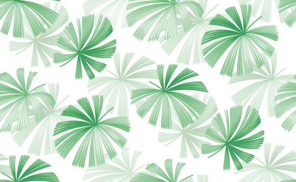 Seamless pattern with tropical palm leaves in realistic style. Exotic plants. Vector botanical illustration. Foliage background for wallpaper, textile, wrapping paper and greeting card.