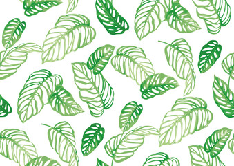 Seamless pattern with tropical leaves in realistic style. Exotic plants. Vector botanical illustration. Foliage background for wallpaper, textile, wrapping paper and greeting card.