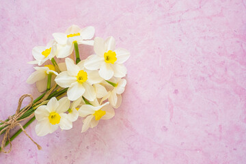 Bouquet of white daffodils on a pink concrete background with space for text or congratulations. Spring flowers.