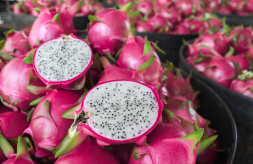 Dragon fruit in the market in thailand. Dragon fruit on plant, Raw Pitaya fruit on tree, A pitaya or pitahaya is the fruit of several cactus species indigenous to the Americas.