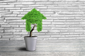 Small plant in pot shaped like a house - Concepts of financial investment and real estate investment