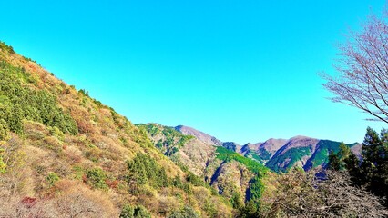 広角レンズで撮影した静岡県の寸又峡プロムナードから見える朝の紅葉