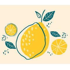Fresh lemons. Hand drawn line lemon illustration. Poster with citrus fruits. Illustration for icon, logo, print, card, emblem, label