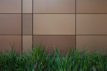 Copper, Brown, and Tan Marble Wall with Green Plants in the Foreground.