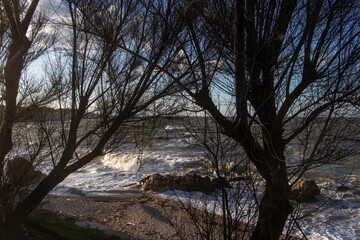 Fototapeta premium The wind and the sea