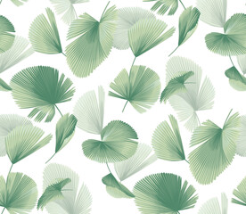 Fototapeta na wymiar Seamless pattern with tropical plants. Foliage background. Palm leaves in realistic style. Vector botanical illustration. Hawaiian summer design.