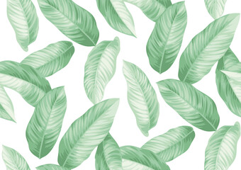 Seamless pattern with tropical plants. Foliage background. Leaves in realistic style. Vector botanical illustration. Hawaiian summer design.