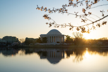 Obraz premium Sunrise Photo Of The Jefferson Memorial During Peak Bloom