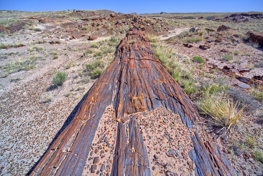 Trail to Martha's Butte in Petrified Forest Az
