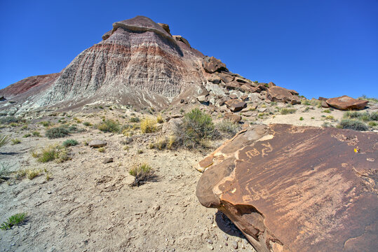 Petroglyphs of Martha's Butte AZ