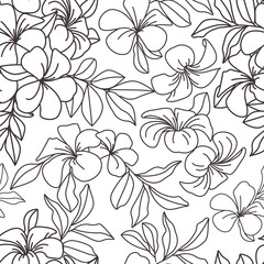 Seamless pattern with vector illustration. Coloring the Hawaiian plumeria flower an exotic. Coloring page