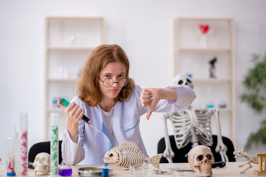 Young Female Zoologist Working At The Lab