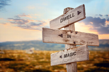dwell in magic text quote caption on wooden signpost outdoors in nature. Stock sign words theme.