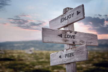 enjoy love feel text quote caption on wooden signpost outdoors in nature. Stock sign words theme.