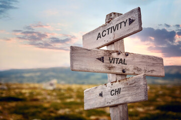 activity vital chi text quote caption on wooden signpost outdoors in nature. Stock sign words theme.