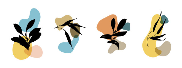 Obraz na płótnie Canvas Abstract minimal leaves outlines, trendy modern botanical art illustration with simple sketch. Vector