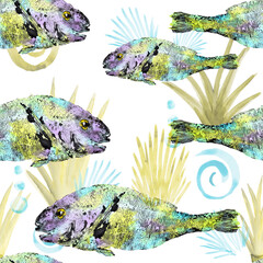 dorado fish pattern watercolor ink bright seamless seaweed on white background