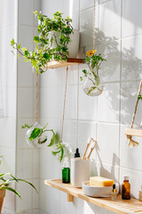 Biophilic design in modern eco friendly bathroom. Glass hanging plant pots. Shadows on the wall