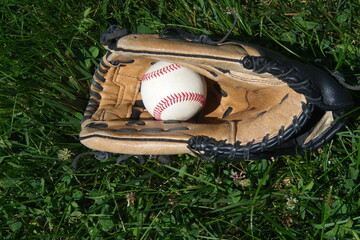 Baseball Glove and Ball on Green Grass in Sunlight